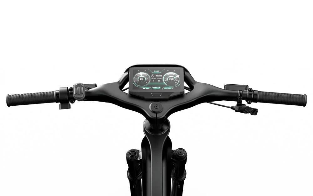 Team Rallye Electric Bike