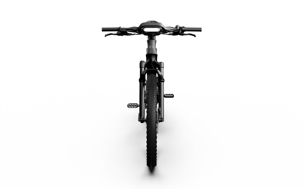 Team Rallye Electric Bike