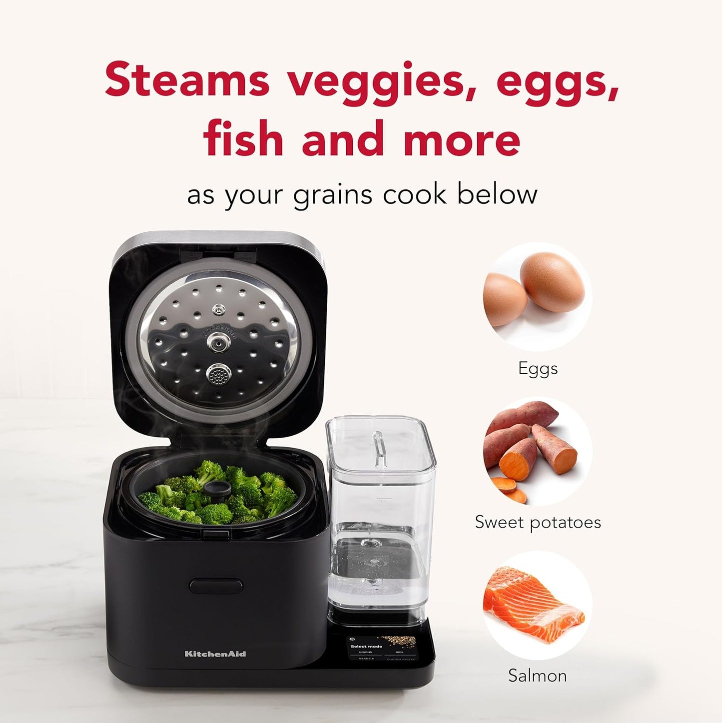 Rice Cooker