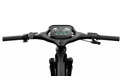 Team Rallye Electric Bike