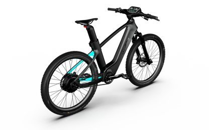 Team Rallye Electric Bike