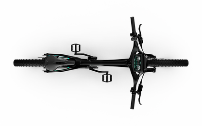 Team Rallye Electric Bike